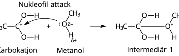 Estrar – reaktionsmekanism