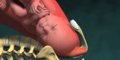 3D-animering av förlossning