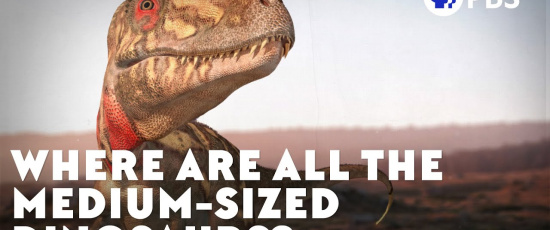 Var är alla medelstora dinosaurier?