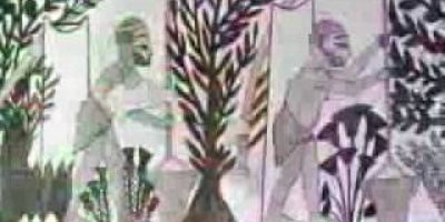 Rätt och slätt del 9: Människans förfäder