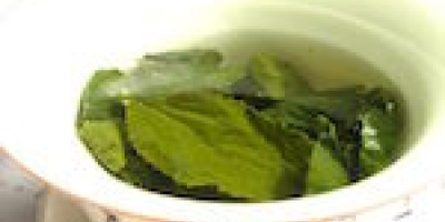 Te ger längre telomerer - och längre liv