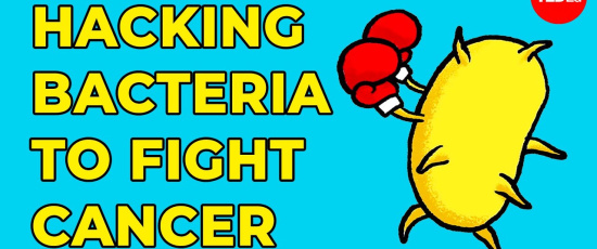 Syntetiska bakterier knäcker cancer