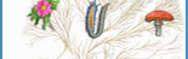 Instuderingsfrågor i Biologi 2: Systematik