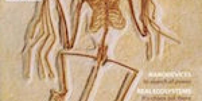 Presentation av en natur­veten­skaplig nyhet