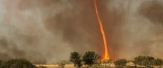 Eld-tornado