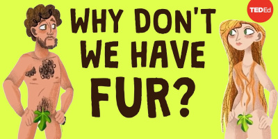 Varför har vi ingen päls (längre)?