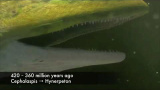 Universums och vår planets historia