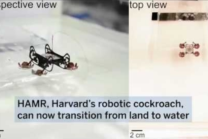 Harvards pyttelilla robot kan simma och gå under vatten – och på land