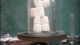 Marshmallow-mannen