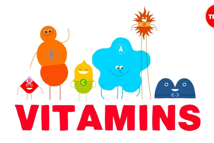 Hur funkar vitaminer?