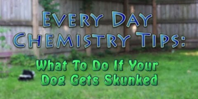 Hur får man bort stanken av skunk?