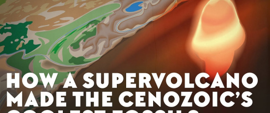 Hur en supervulkan skapade kenozoikums häftigaste fossil