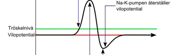 Slutprov 2014-06-11 i Biologi 2