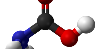 Hur många aminosyror finns det egentligen?