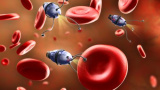 Nanorobotar kan få cancerceller att begå självmord