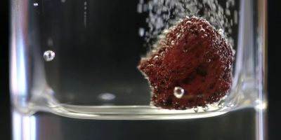 Allt om kolsyrade drycker