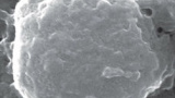 Luriga nanopartiklar använder förklädnad för att ta sig in i kroppen
