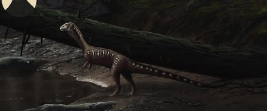 Krokodilernas evolution