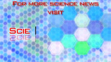 HIV-immuna celler