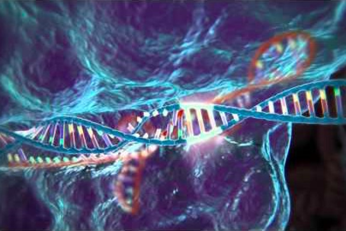Genredigering med CRISPR-Cas9