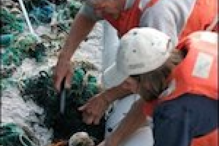 Miljontals ton plastskräp i Stilla havet