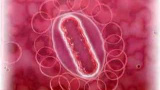 Hur smittar Legionella?