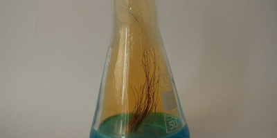 Namngivning och formelskrivning med hjälp av oxidationstal