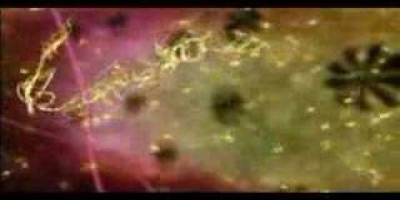 Transkription och translation