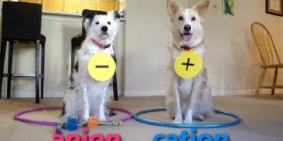 Lär dig kemisk bindning med 