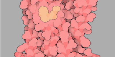 Årets Nobelpris i Kemi 2012