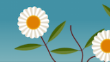 Tips: Spela 