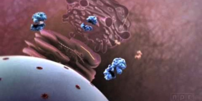 Influensa-attack! Hur ett virus infekterar din kropp