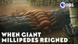 När gigantiska tusenfotingar härskade på jorden