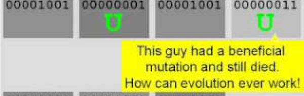 Modellförsök – evolution hos björkmätare