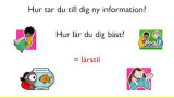 Varför vägrar myten om lärstilar att dö?
