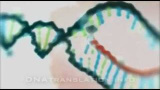 Från DNA till protein