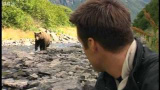 Närkontakt med grizzlybjörnen