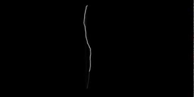 Evolution ur en konstnärs synvinkel