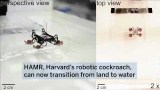 Harvards pyttelilla robot kan simma och gå under vatten – och på land