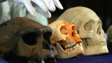 Homo floresiensis ställer frågan på sin spets: Vad innebär det att vara 