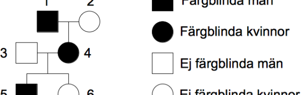 Prov 2008-11-28 i Klassisk genetik