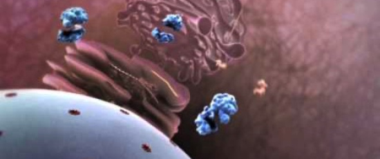 Influensa-attack! Hur ett virus infekterar din kropp
