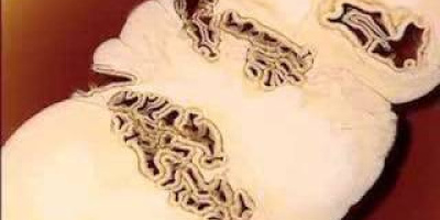 Ytspänning med Tia Maria-likör och grädde