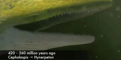 Universums och vår planets historia