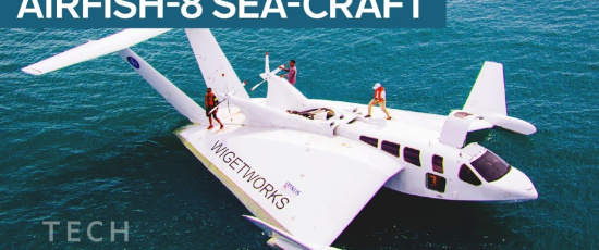 Airfish-8