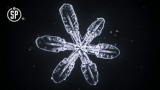 Jullov 2015-2016: Se en snöflinga bildas mitt framför dina ögon!