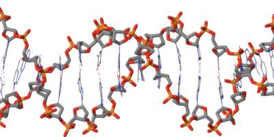 DNA-molekylens struktur och funktion (Kemi 2)
