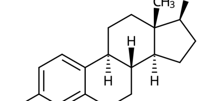 Hormonsystemet. Olika typer av hormoner