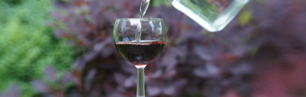 Demo: Vatten till vin (och tillbaka igen)