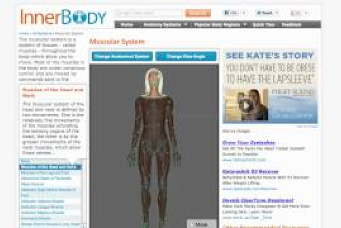 Tips: InnerBody